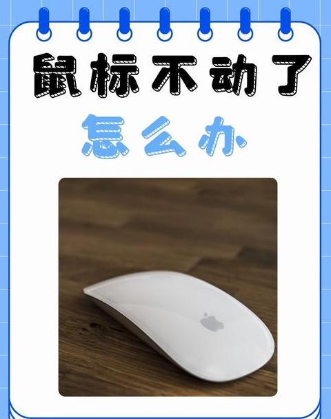 鼠标点不了了是怎么回事